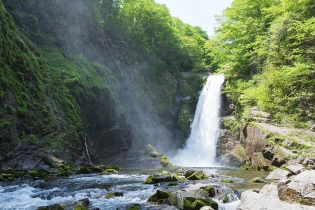 緑豊かな森の中を勢いよく流れ落ちる大きな滝。