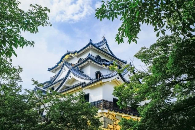 新緑の彦根城の景観。