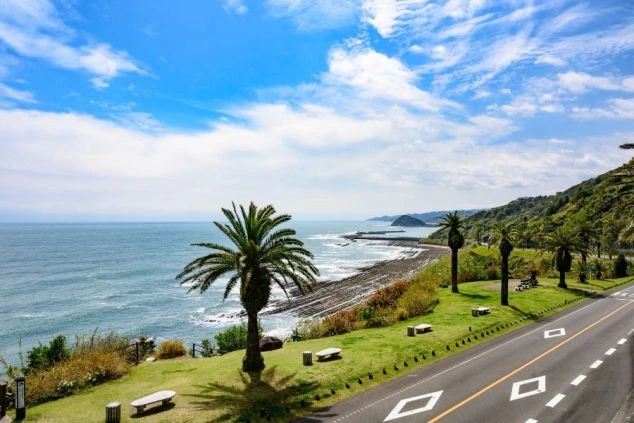 宮崎県の日南海岸を望む絶景。パームツリーが並ぶ南国リゾート感溢れる風景とドライブコース。