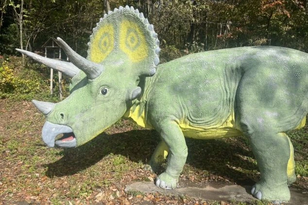 福井県にある博物館の施設外観。