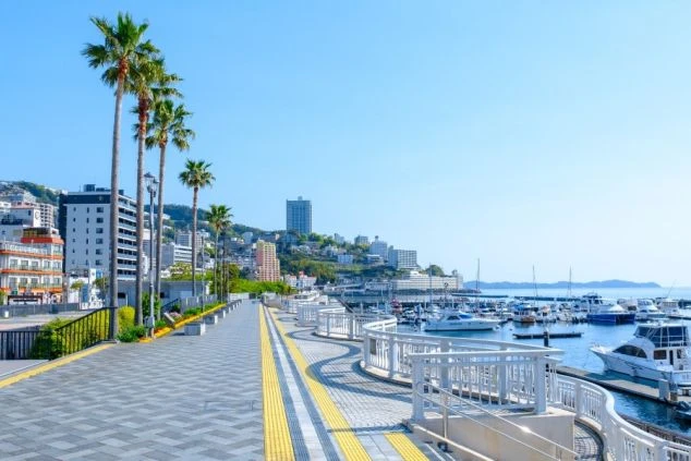 ヤシの木が並ぶ海沿いの遊歩道と、ヨットが停泊するマリーナの風景。