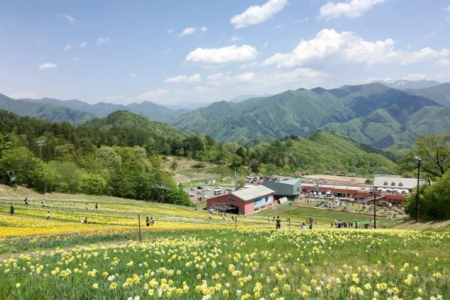 山々に囲まれ、黄色い花が斜面一面に咲き誇る広大な公園の風景。