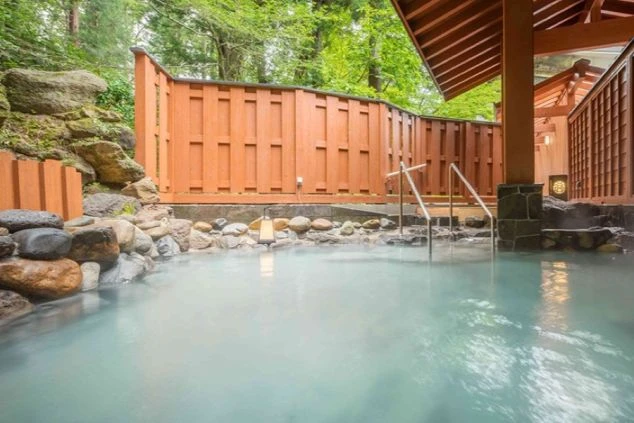 木々に囲まれた岩造りの露天風呂