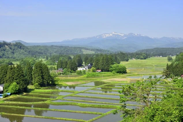 棚田。日本の原風景が残るエリアでのリゾートバイトと四季折々の絶景。