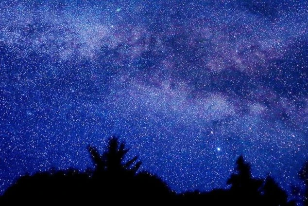 木々のシルエットの上に広がる、吸い込まれるような満天の星空と天の川。澄んだ夜の空気の中で、無数の星々が幻想的に輝く、自然の美しさを捉えた一枚。