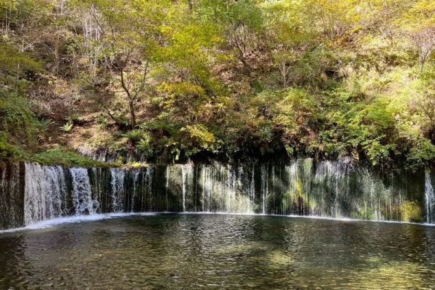 長野県軽井沢町にある観光名所「白糸の滝」の画像。湾曲した岩壁から数百条の地下水が白糸のように流れ落ちる、清涼感あふれる美しい景観。