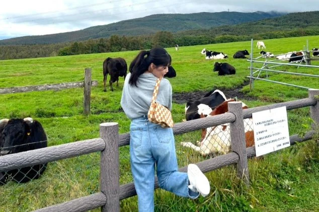 リゾートバイトの休日に牧場で牛を眺めてのんびり過ごす女性