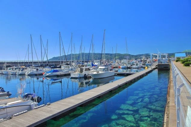 抜けるような青空の下、澄み渡る青い海に多数のヨットやボートが係留された伊東のハーバー風景。透明度の高い海水を通して海底の岩が見え、遠くには緑豊かな山々が広がる、開放感あふれる穏やかな港の景色。