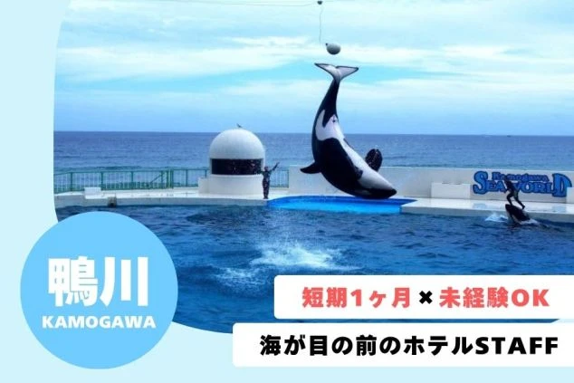 鴨川シーワールドのシャチのパフォーマンスショーの様子。「短期1ヶ月×未経験OK」「海が目の前のホテルSTAFF」という募集テキストが入ったリゾートバイト求人のアイキャッチ。