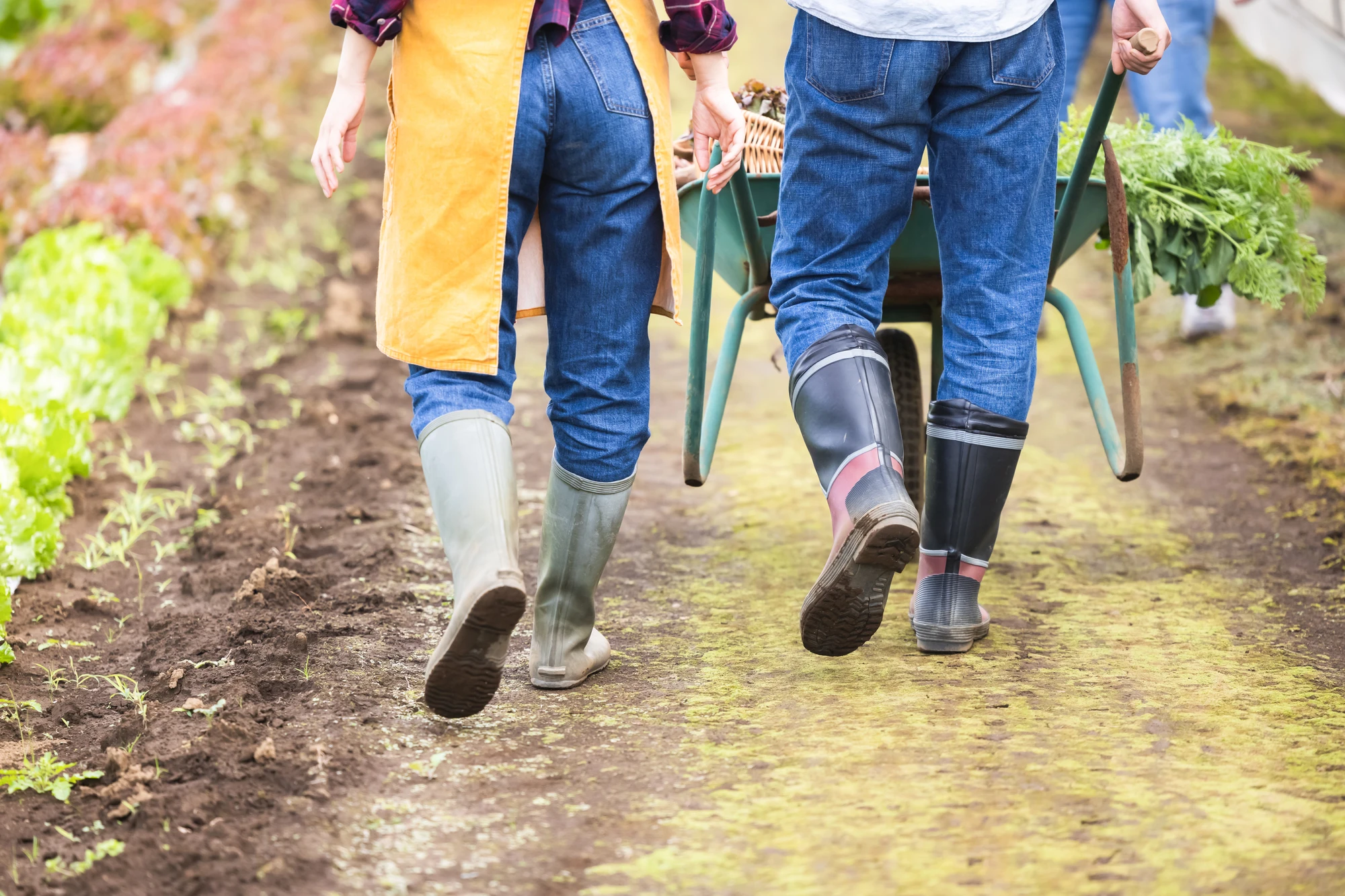 その他職種のメリット