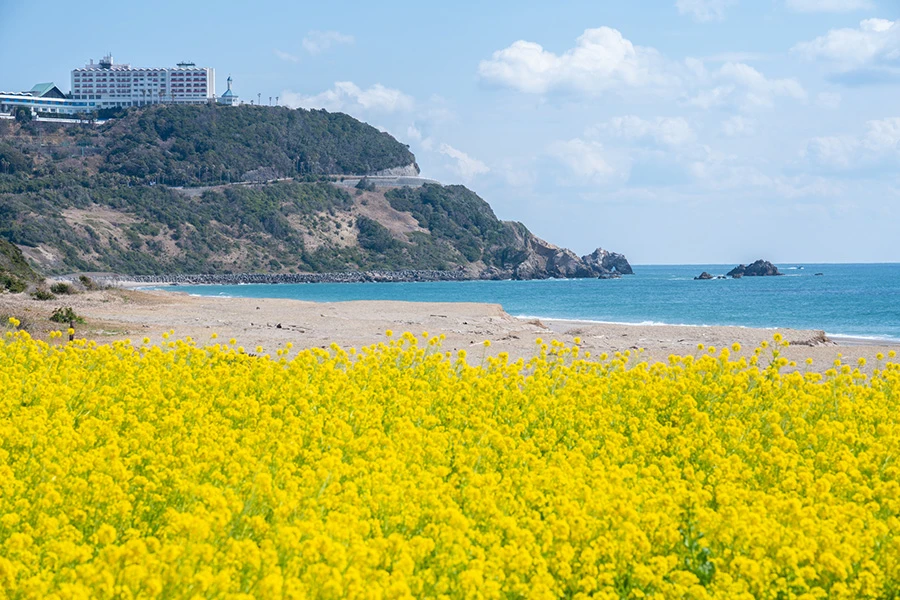 伊良湖のイメージ3