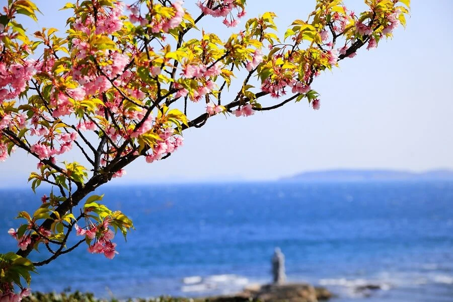 南知多のイメージ2