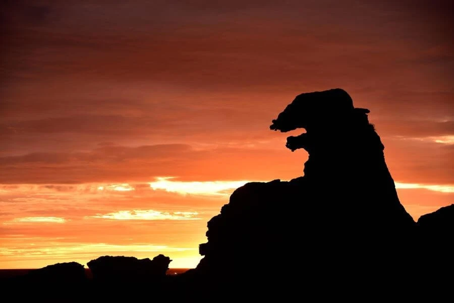 エリア紹介イメージ