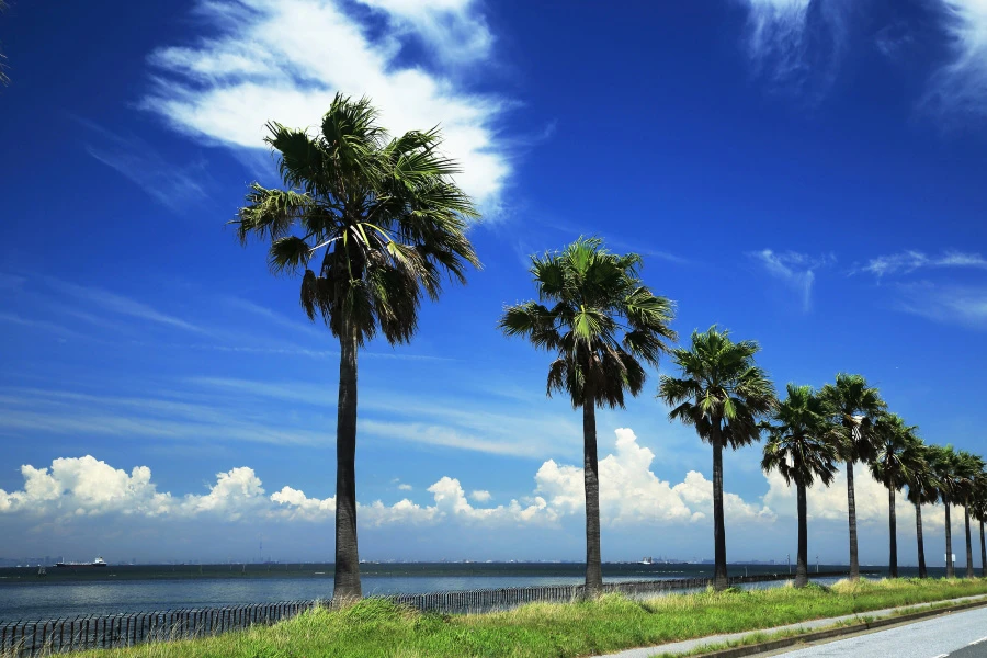 木更津のイメージ1