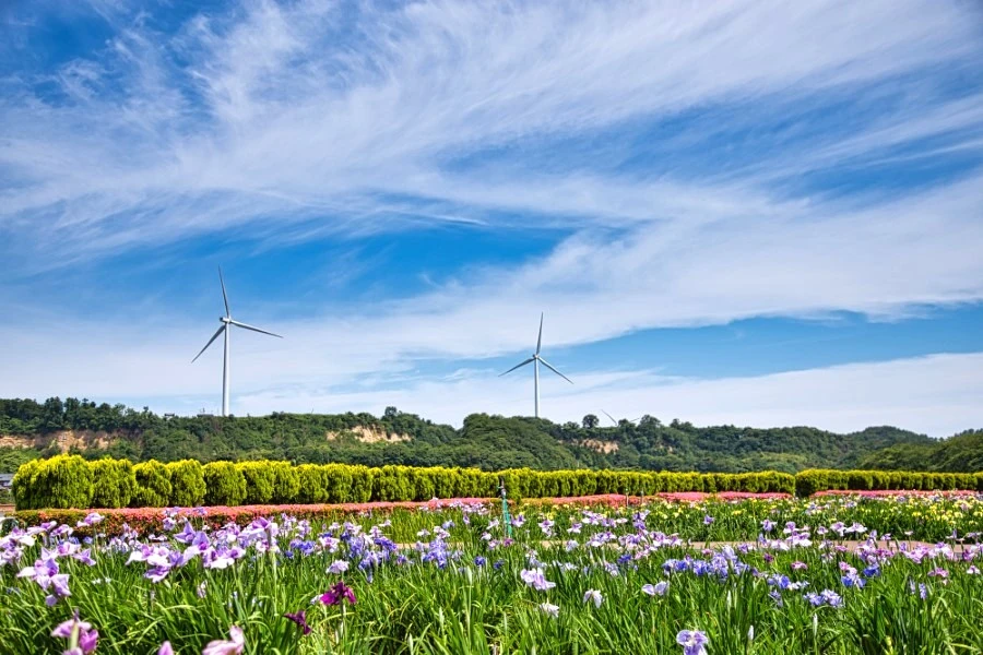 あわら温泉のイメージ2