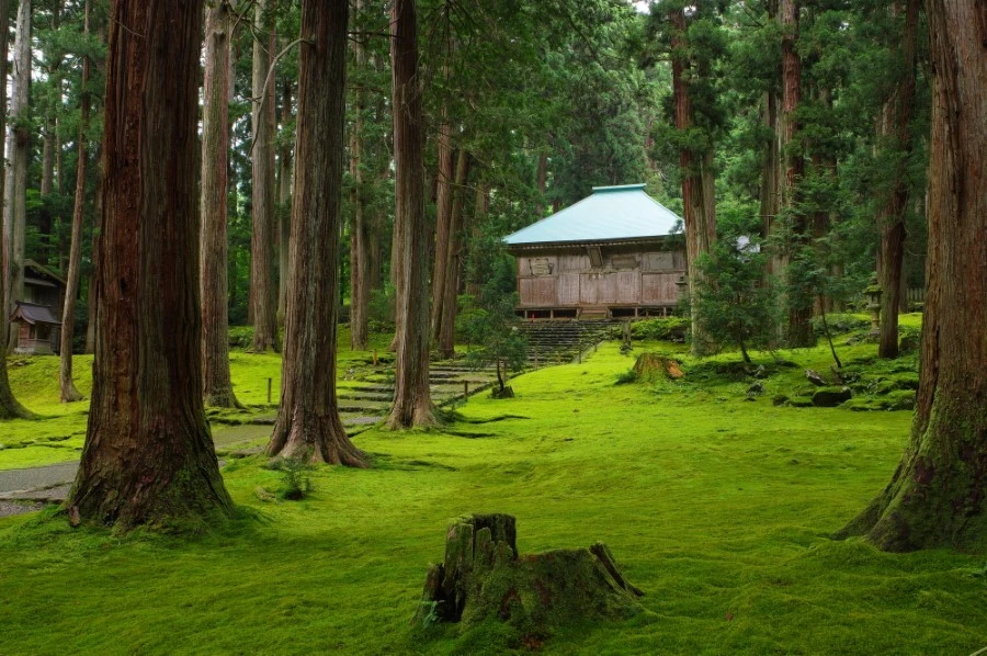 エリア紹介イメージ