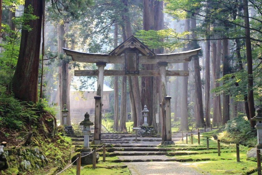 勝山のイメージ1