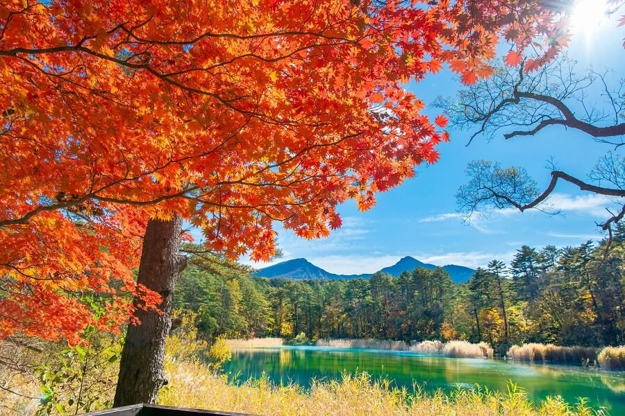 裏磐梯のエリア紹介イメージ