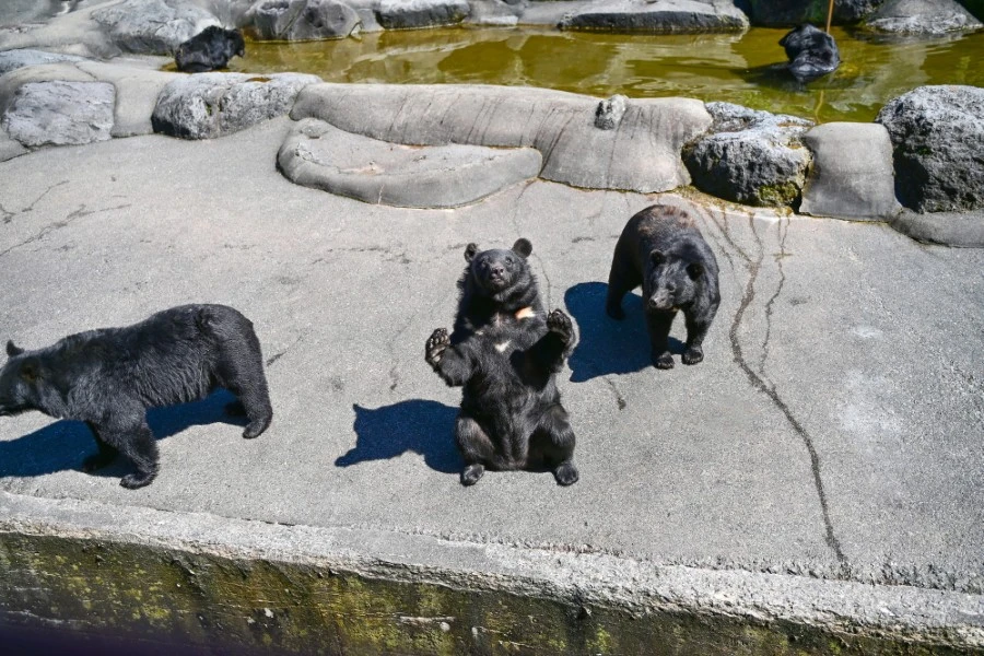 奥飛騨温泉郷のイメージ1