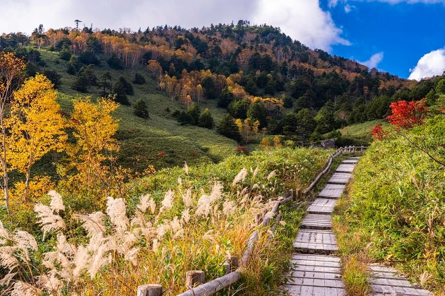 万座温泉のイメージ2