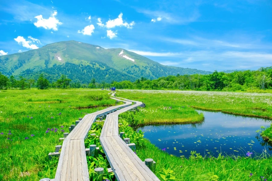 丸沼高原のエリア紹介イメージ