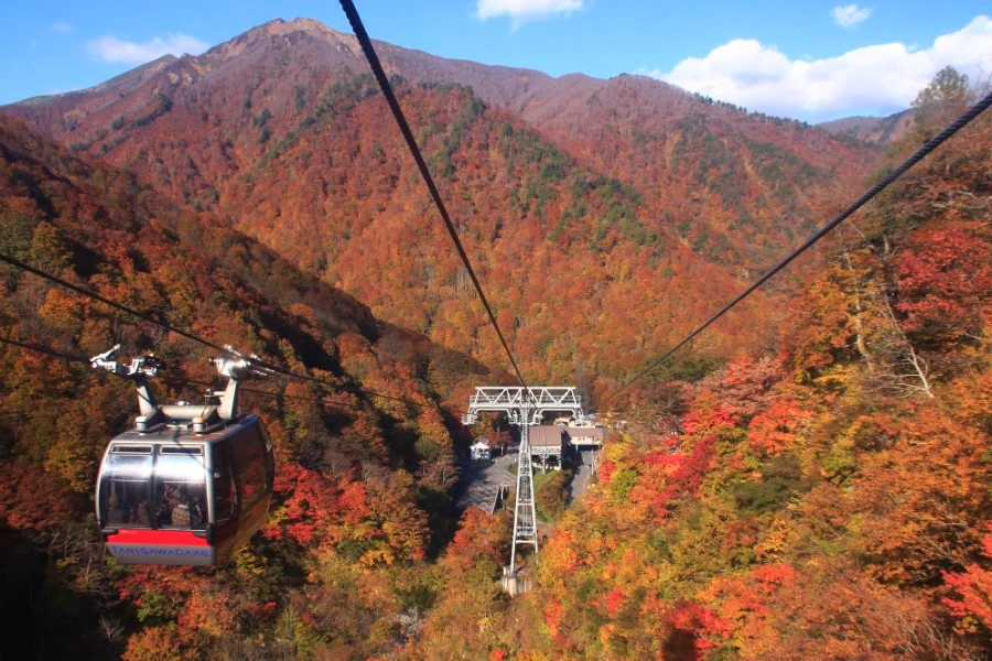 水上高原のイメージ2