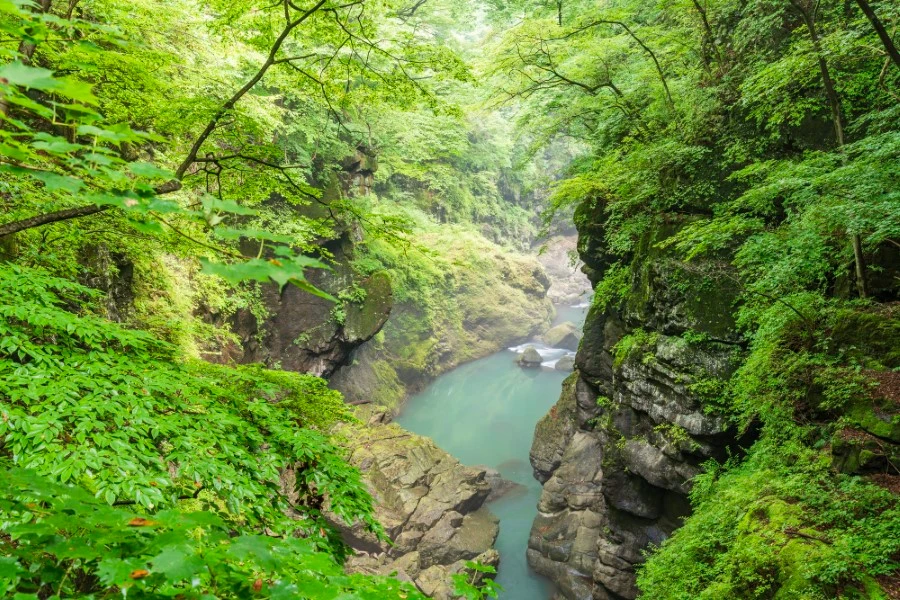 薬師温泉のイメージ1