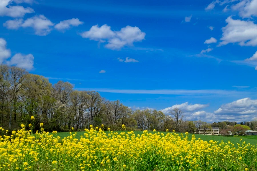 庄原のイメージ2