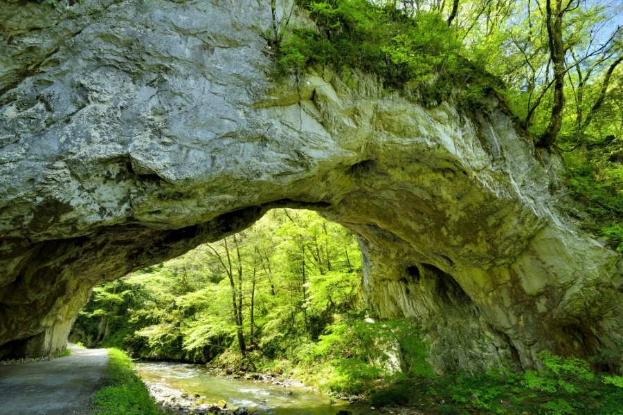 庄原のイメージ3