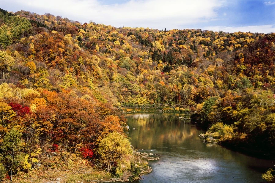 旭川のイメージ2