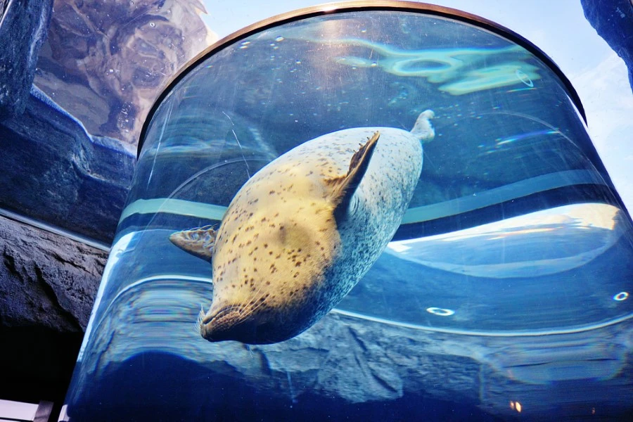 旭川のイメージ3