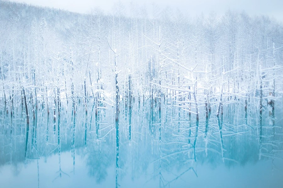 富良野・美瑛のイメージ1