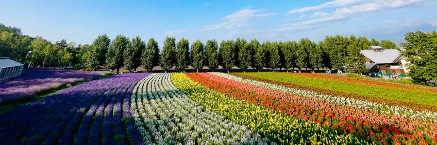 エリア紹介イメージ