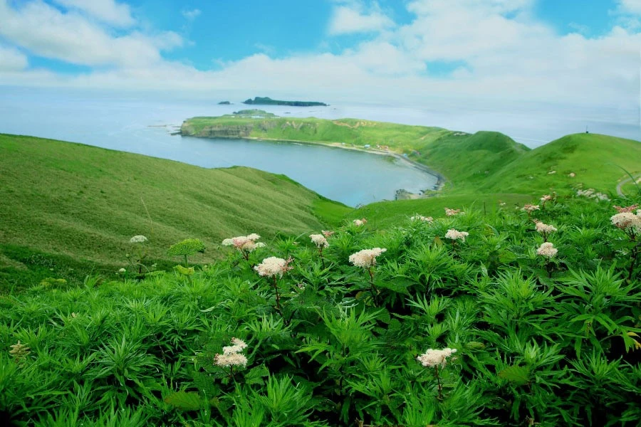礼文島のエリア紹介イメージ