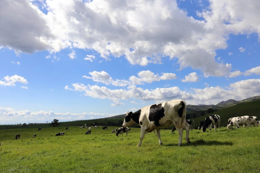 十勝のイメージ1