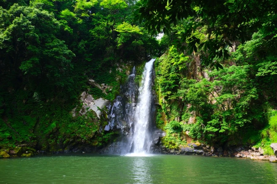 神鍋高原のイメージ3