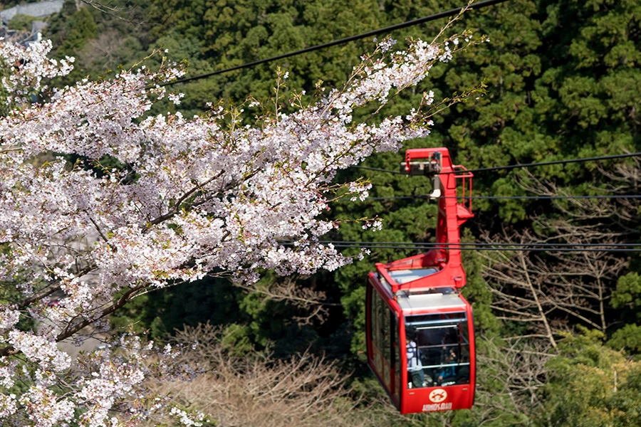 城崎温泉のイメージ1