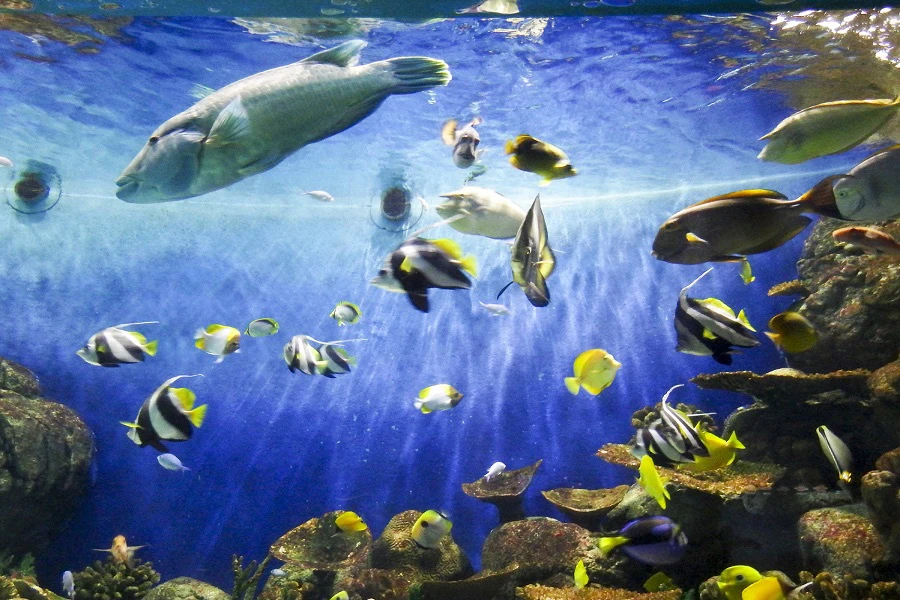 城崎温泉のイメージ3