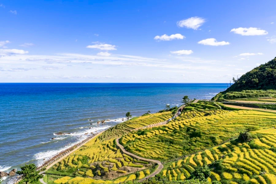 石川県その他エリアのエリア紹介イメージ