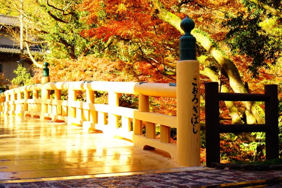 山中温泉のエリア紹介イメージ