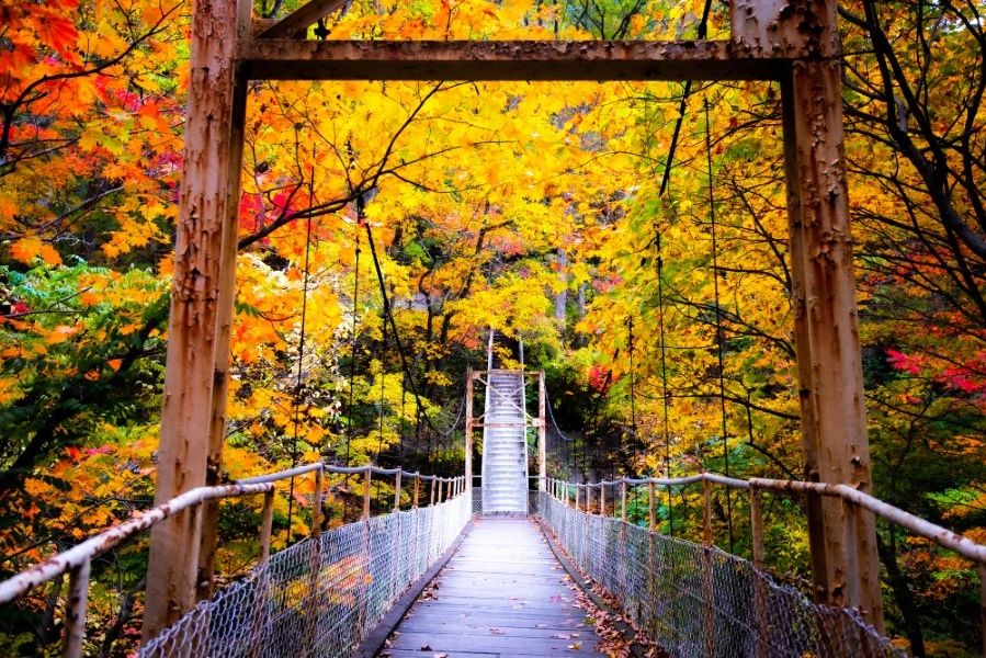 花巻温泉のエリア紹介イメージ