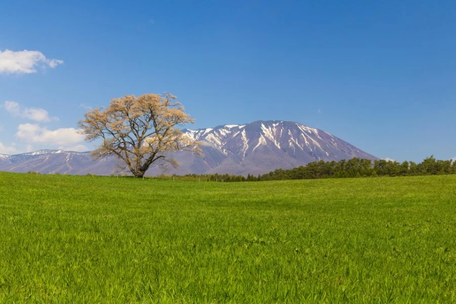 岩手県その他エリアのエリア紹介イメージ