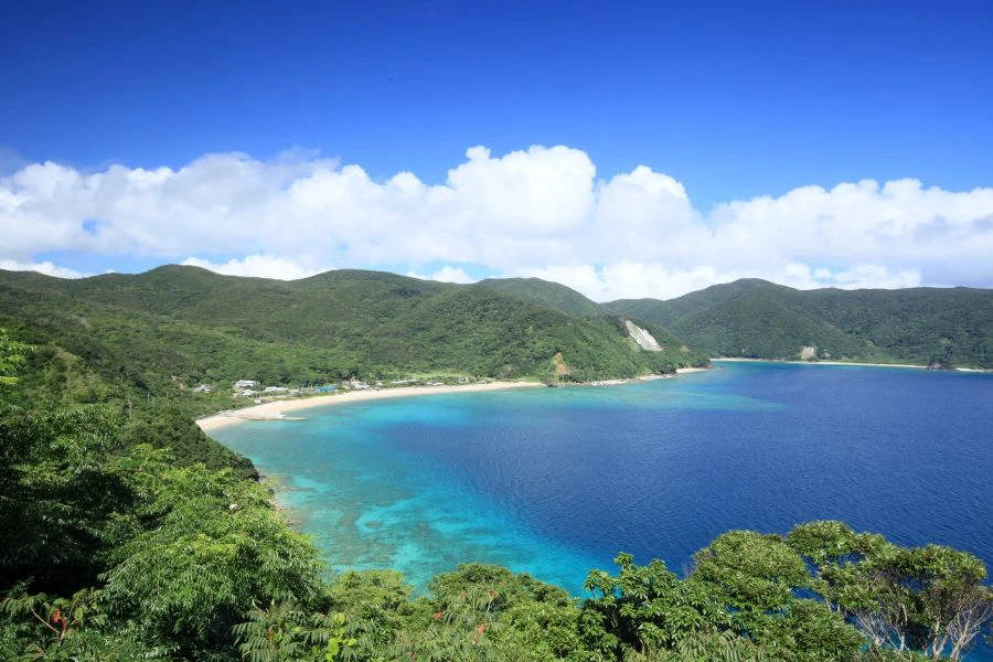 奄美大島のイメージ2