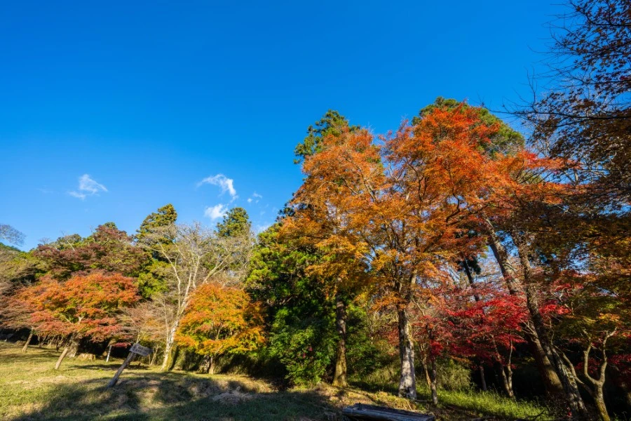 湯河原温泉のエリア紹介イメージ