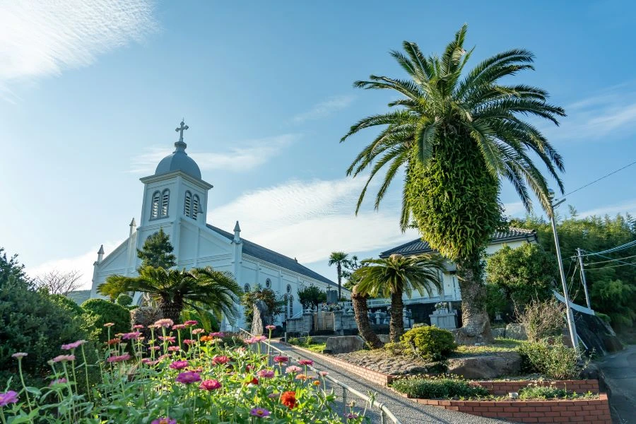 天草のイメージ2