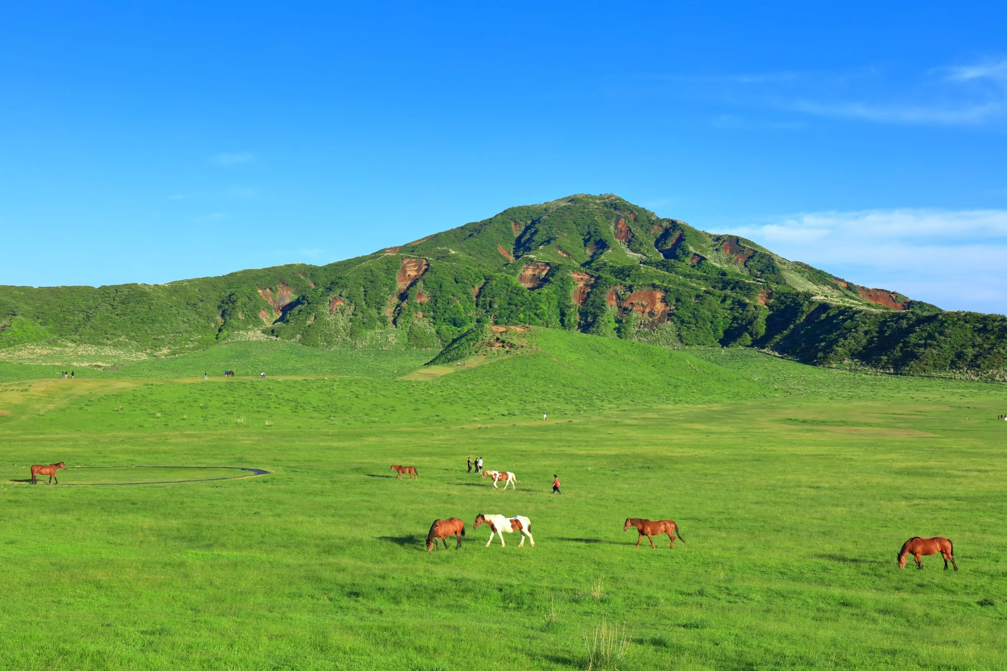 阿蘇のエリア紹介イメージ