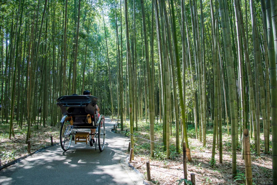 嵐山のイメージ3