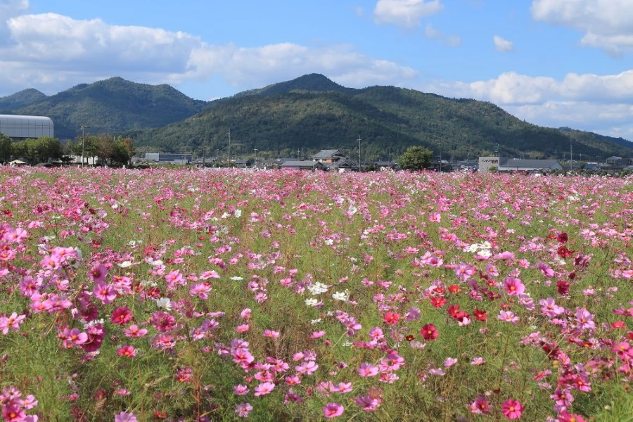 湯の花温泉のエリア紹介イメージ