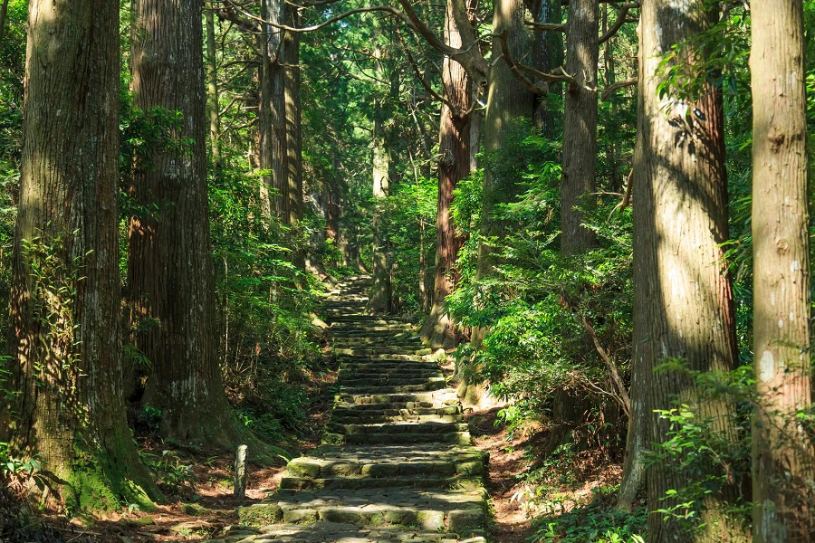 熊野のエリア紹介イメージ