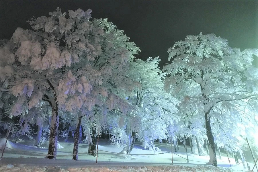 宮城蔵王のイメージ2